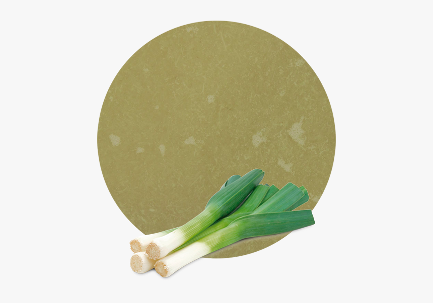 Welsh Onion, HD Png Download