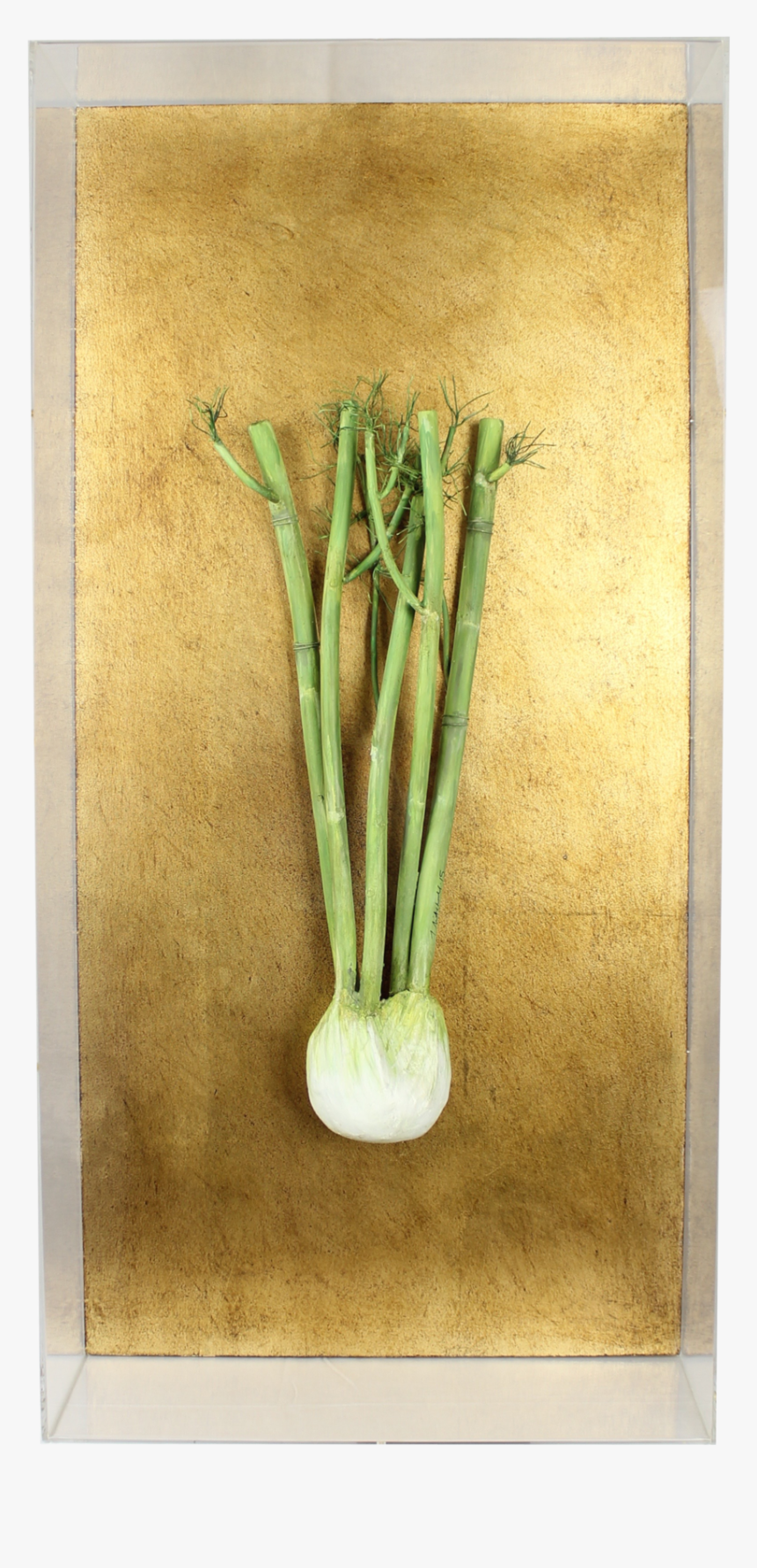 Fennel - Still Life, HD Png Download
