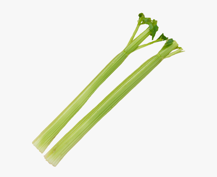 Celery Stick Png - Transparent Background Celery Png, Png Download