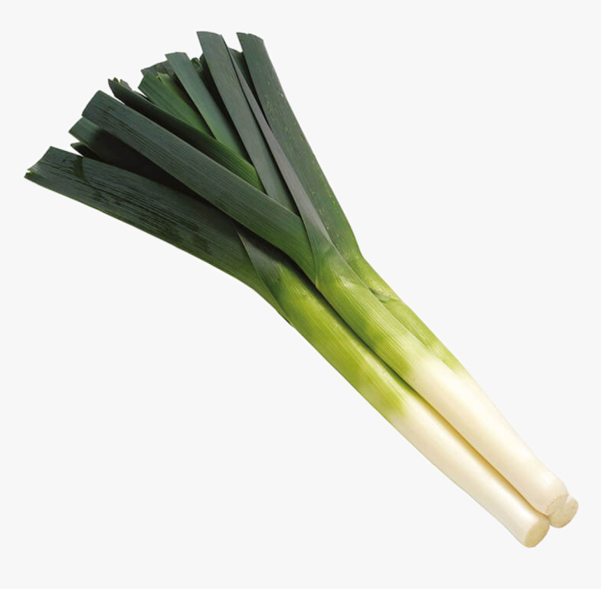 #leek #freetoedit - Leek Vegetable, HD Png Download