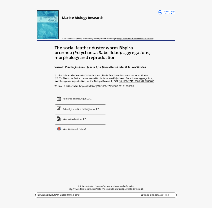 Model To Measure Customer Loyalty, HD Png Download