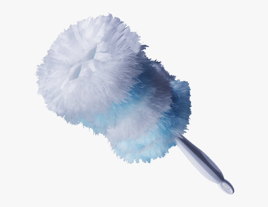 Feather, HD Png Download