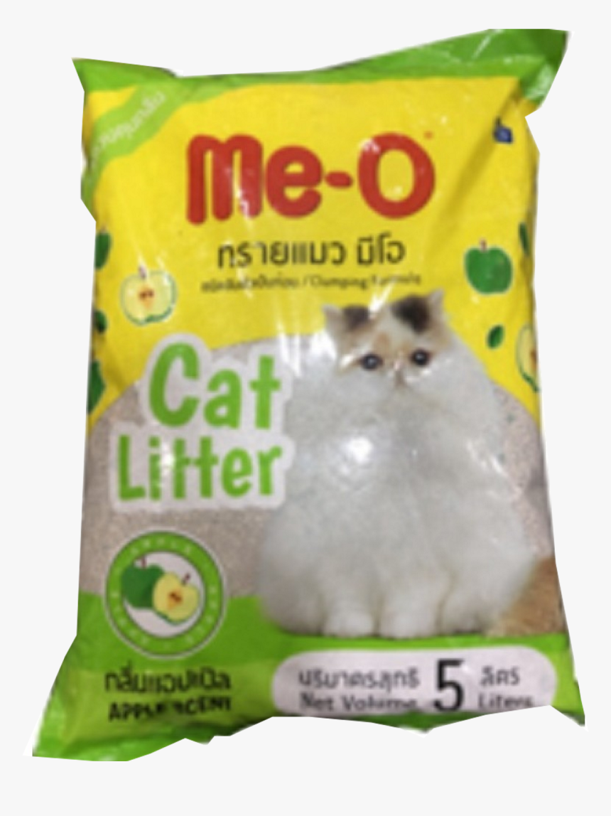 Kitten, HD Png Download