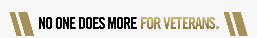 Vfw No One Does More, HD Png Download