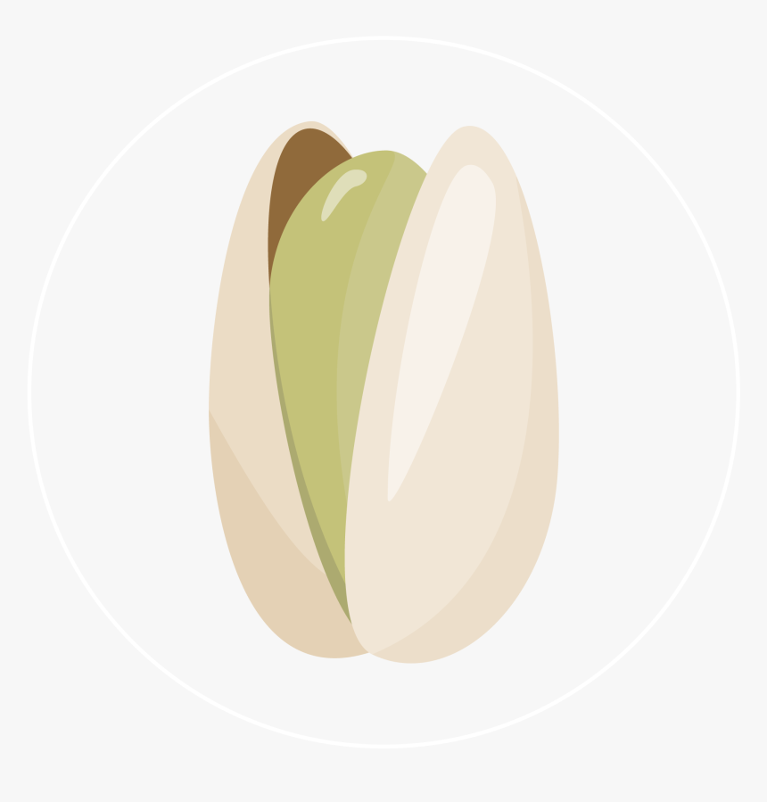 Pistachio-icon - Circle, HD Png Download
