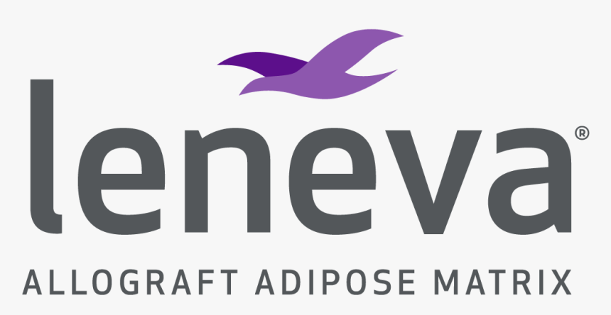 Leneva - Bird, HD Png Download