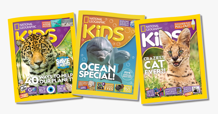 Turkey, HD Png Download