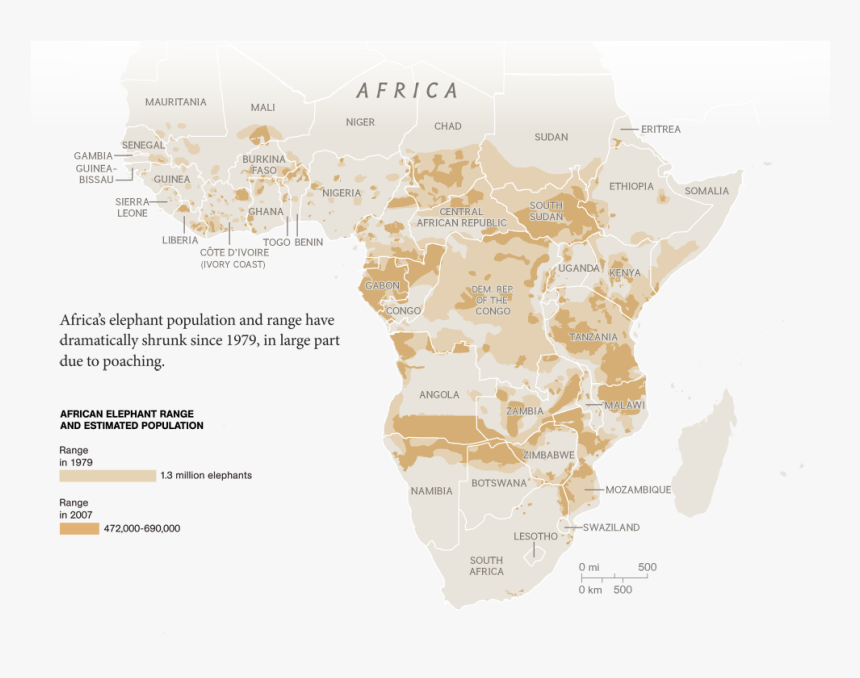 Decrease In Population Of Elephants, HD Png Download