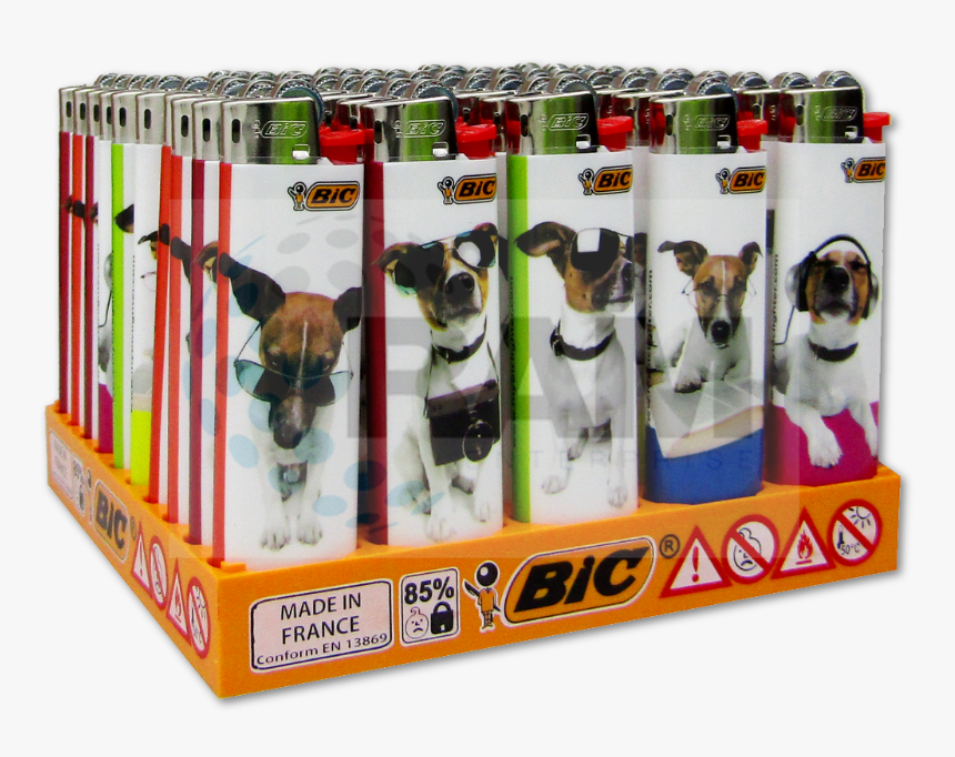 Dogs, HD Png Download