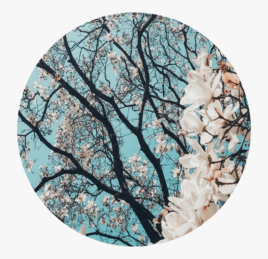 #beautifull #sunny #day #sun #sky #flowers #spring - Wallpaper, HD Png Download