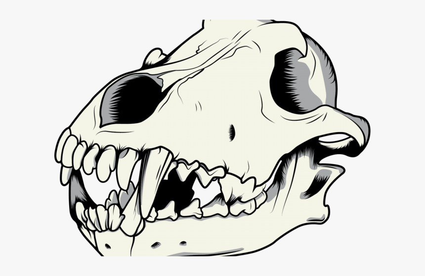 Mouth Clipart Wolf - Wolf Skull Vector Drawing, HD Png Download