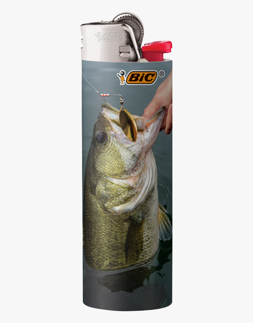 Bass, HD Png Download