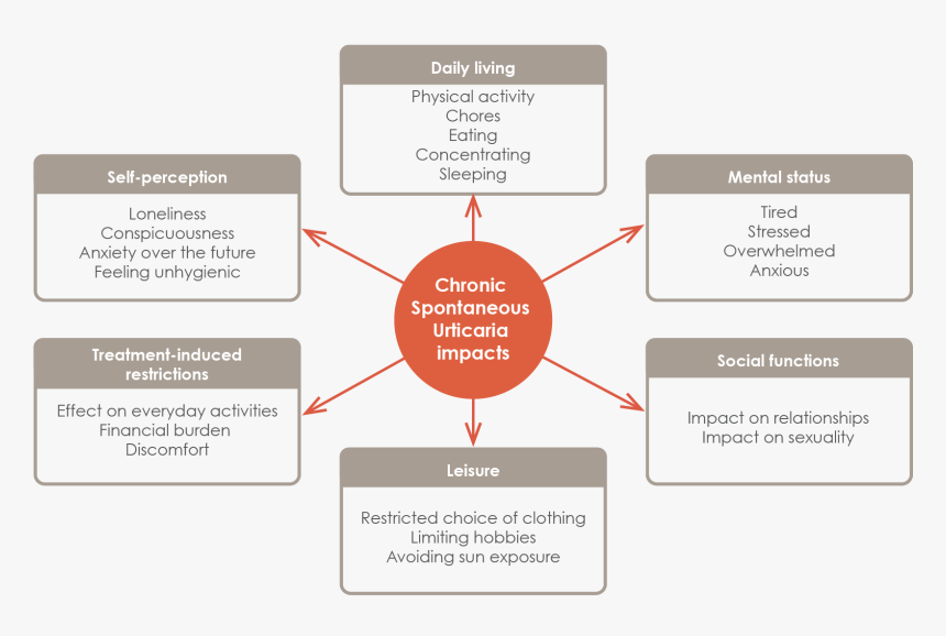 Informal Groups, HD Png Download