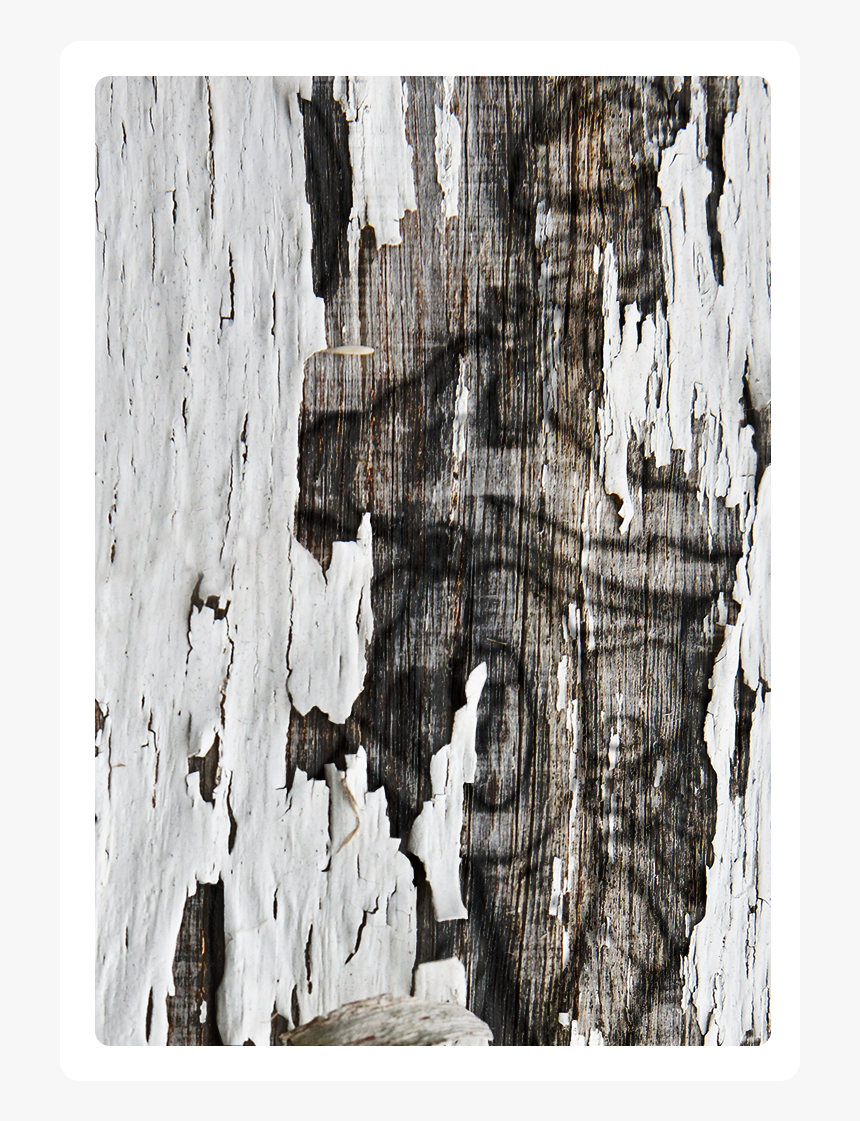 Wood Tome 1 - Visual Arts, HD Png Download