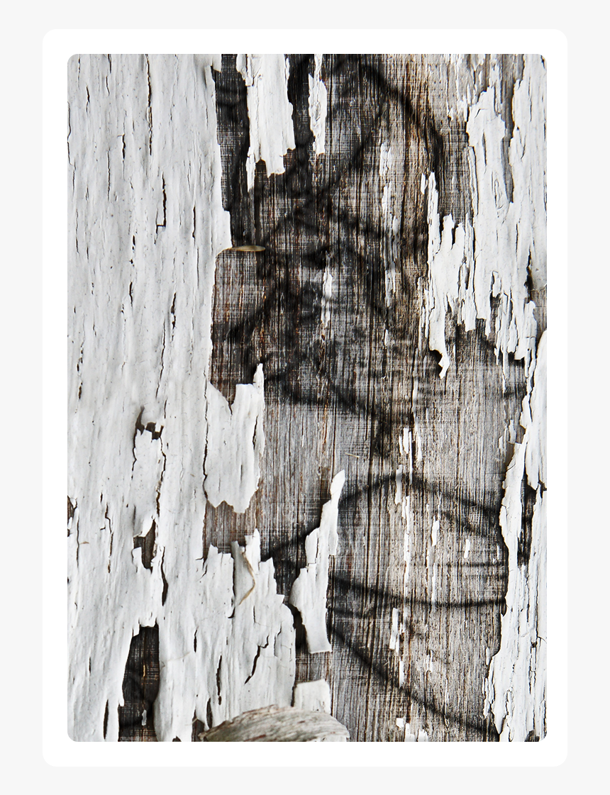 Wood Tome 2 - Visual Arts, HD Png Download