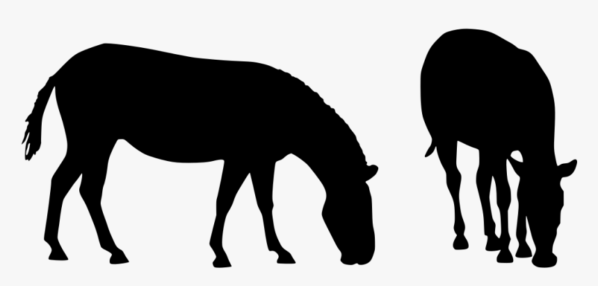 Animal, HD Png Download