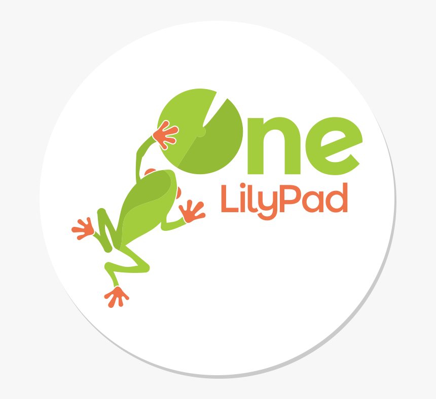 Red-eyed Tree Frog, HD Png Download