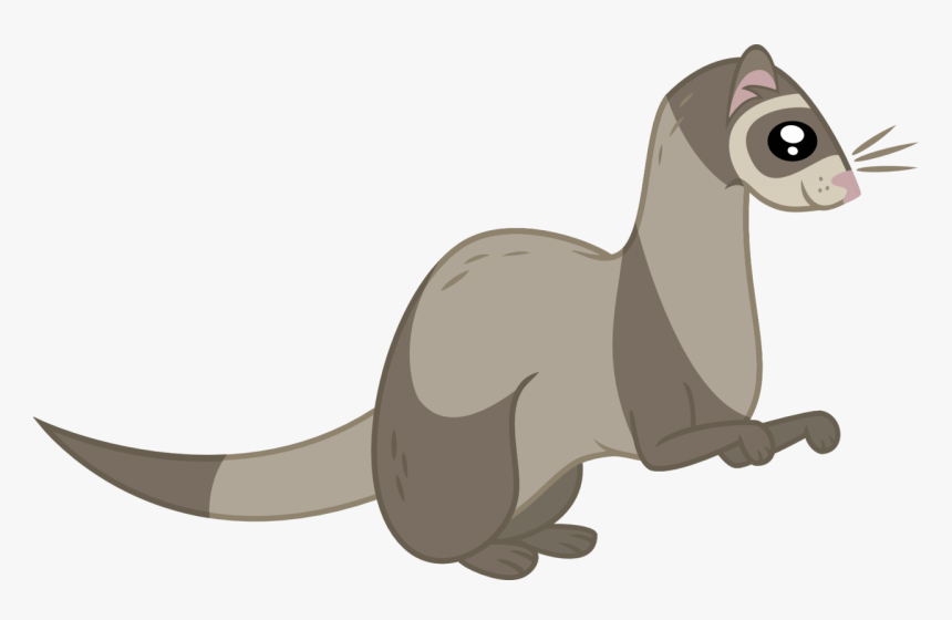 Ferret Vector Animal - Ferret, HD Png Download