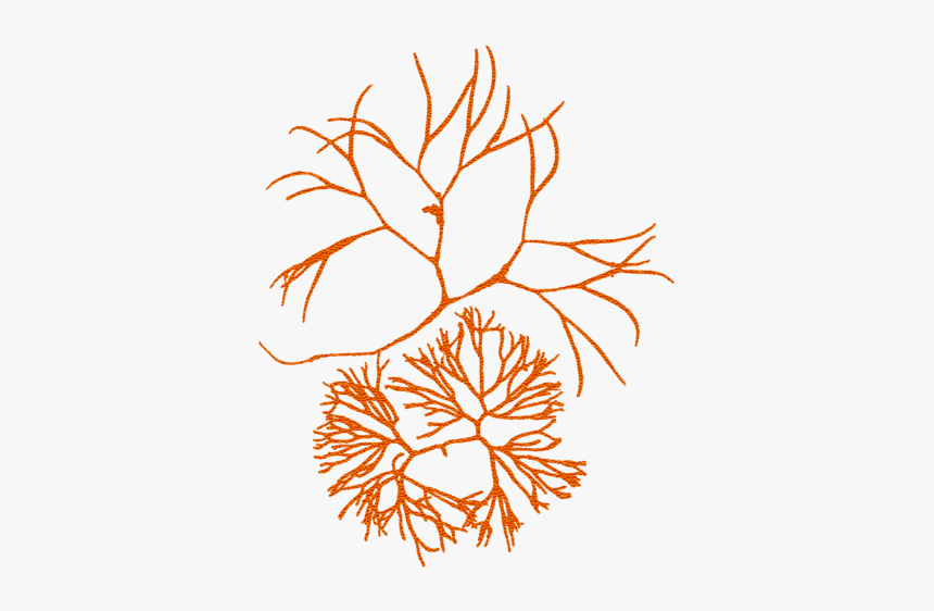 Clip Art, HD Png Download