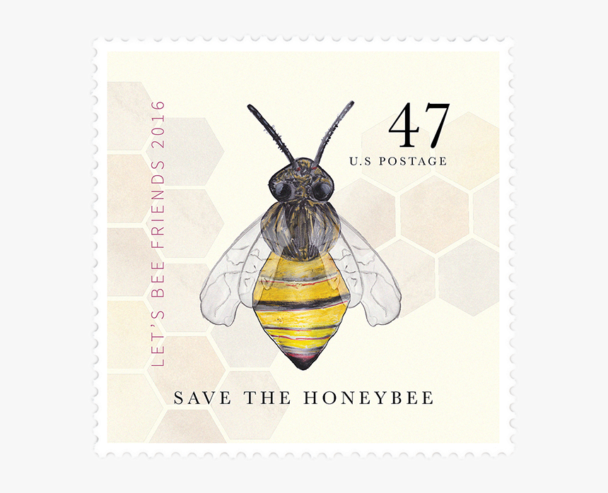 Watercolor Illustration Of Honey Bee Incorporated Into - Net-winged Insects, HD Png Download