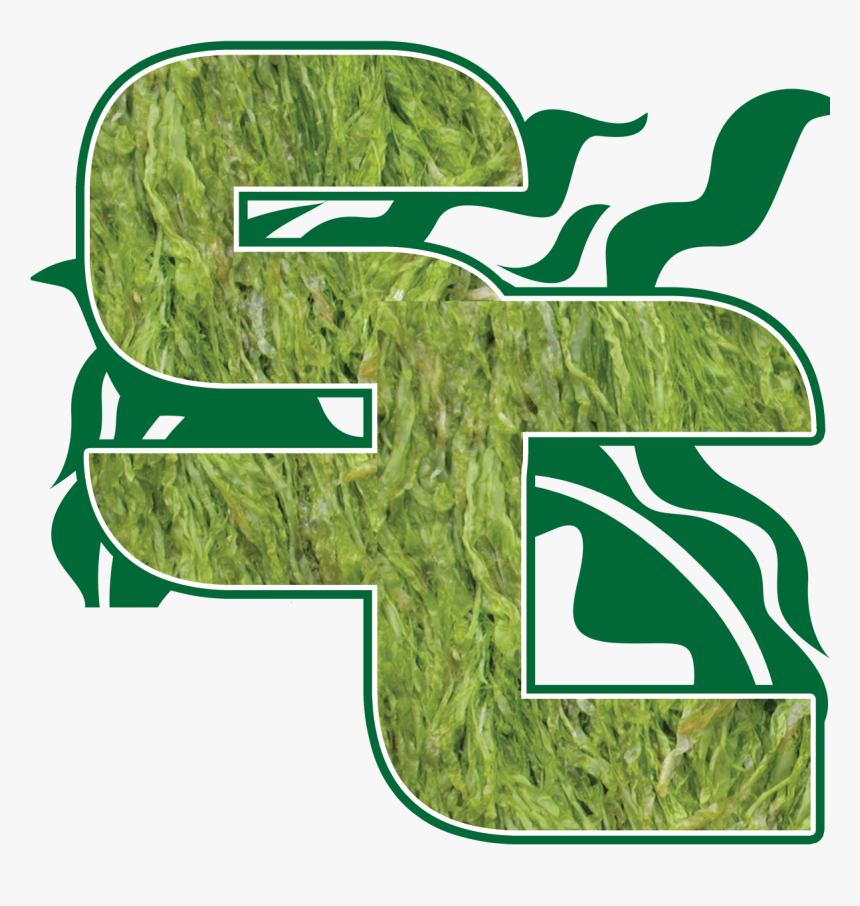 Grass, HD Png Download