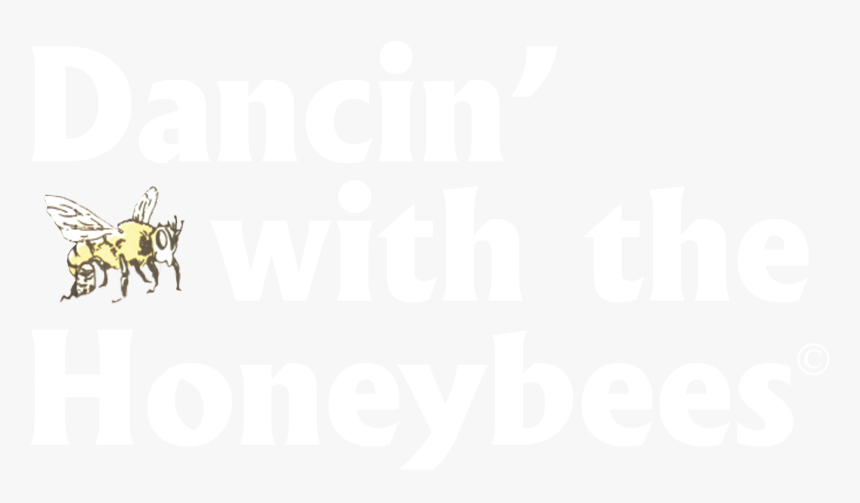 Cliff Sunflower Logo - Cards Against Humanity Logo Transparent, HD Png Download