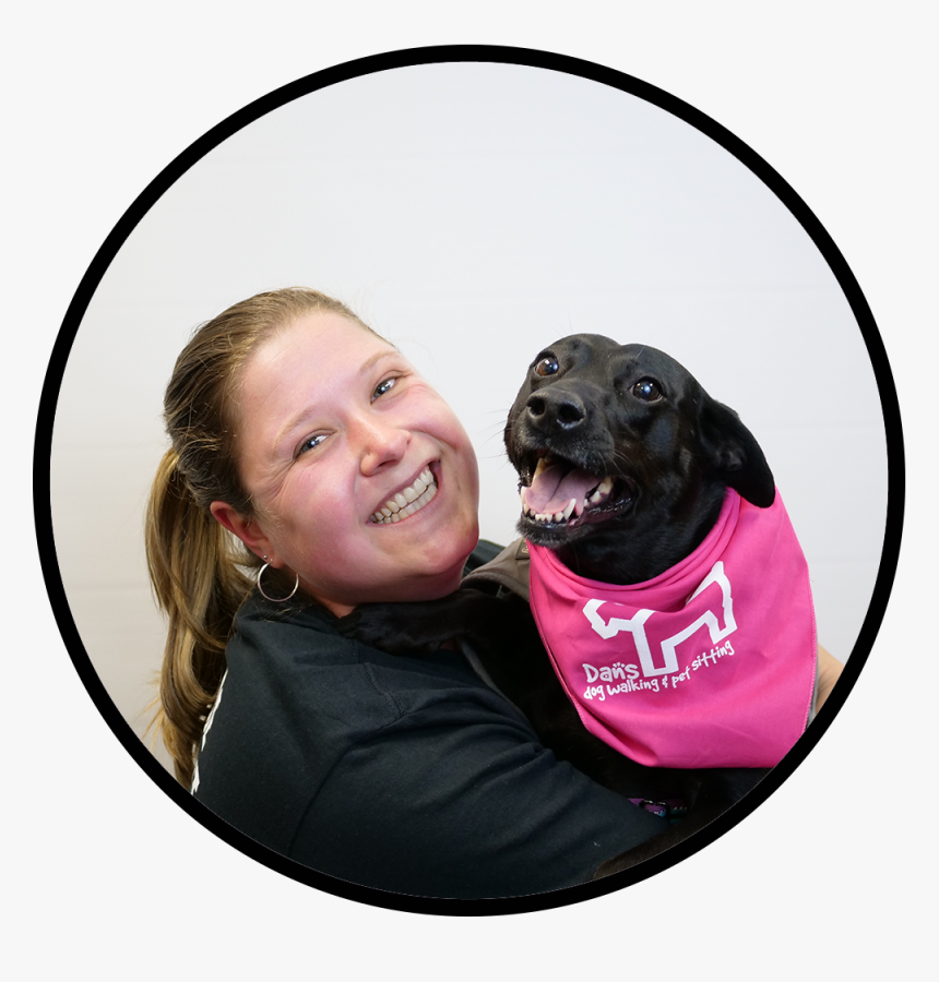 Companion Dog, HD Png Download