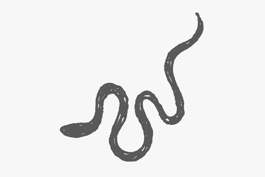 Serpent, HD Png Download