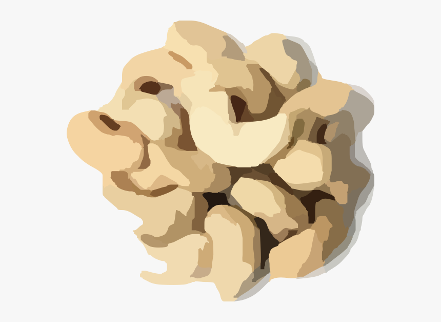 Cashew Nuts, HD Png Download