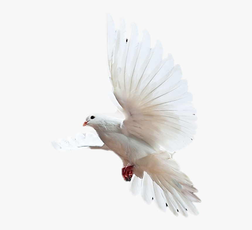 Psalms 65 2, HD Png Download