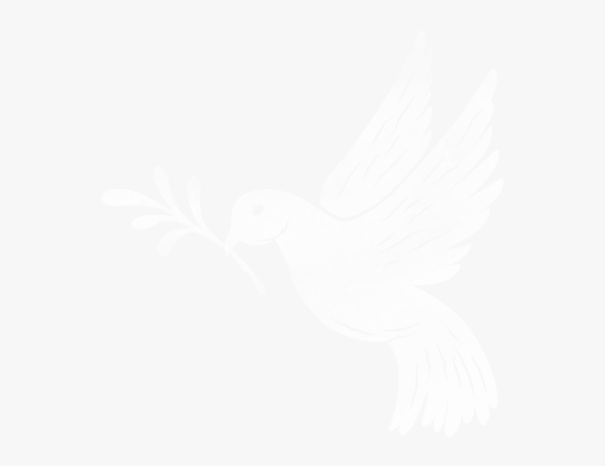 Pigeons And Doves, HD Png Download