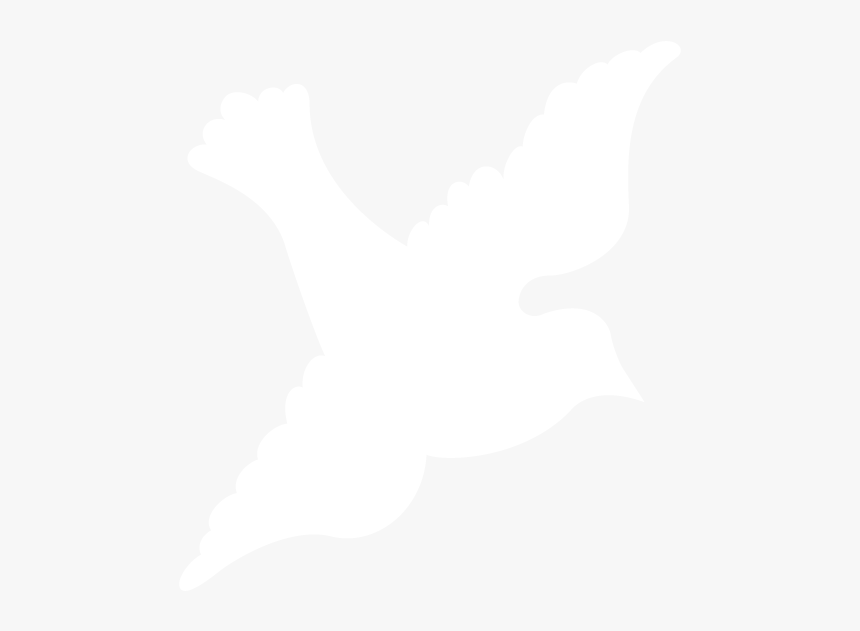 Dove - Pigeons And Doves, HD Png Download