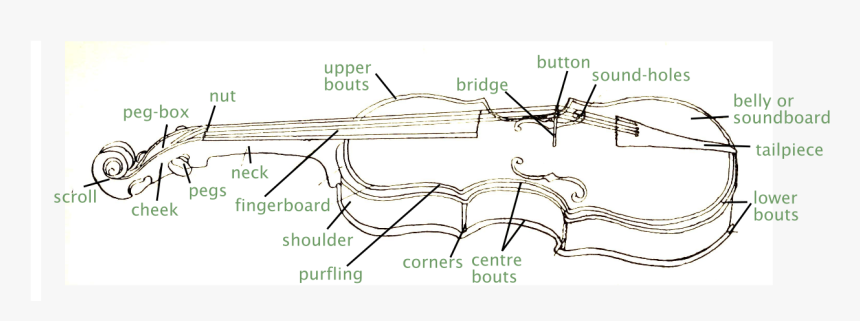 Violin And Bow Diagram, HD Png Download