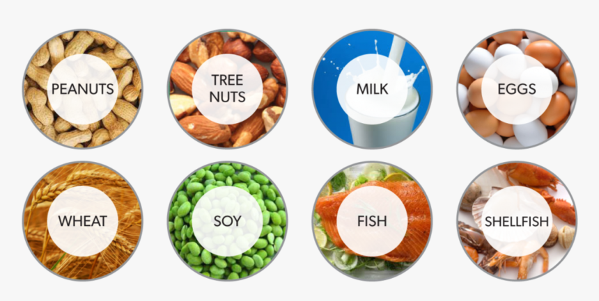 Allergic Food, HD Png Download