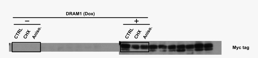 Number, HD Png Download