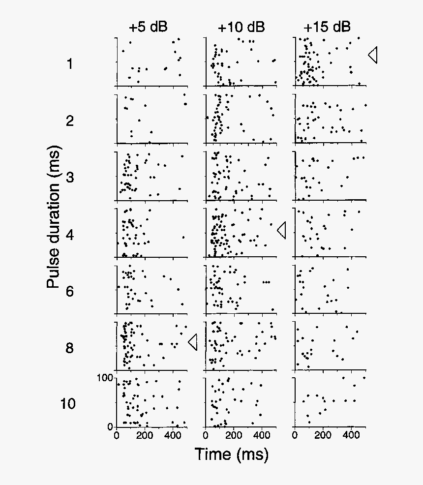Document, HD Png Download