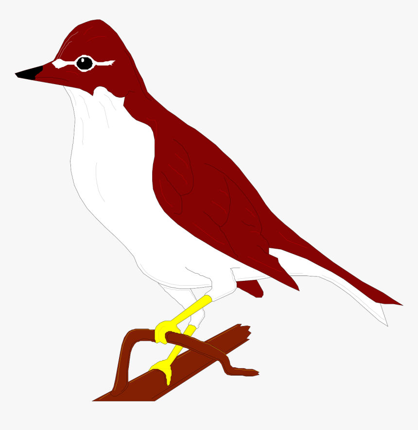 Thrush, HD Png Download