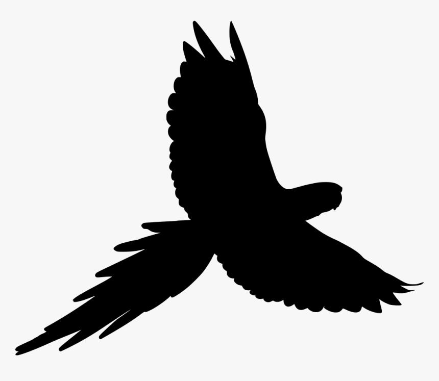 Macaw Clipart, HD Png Download