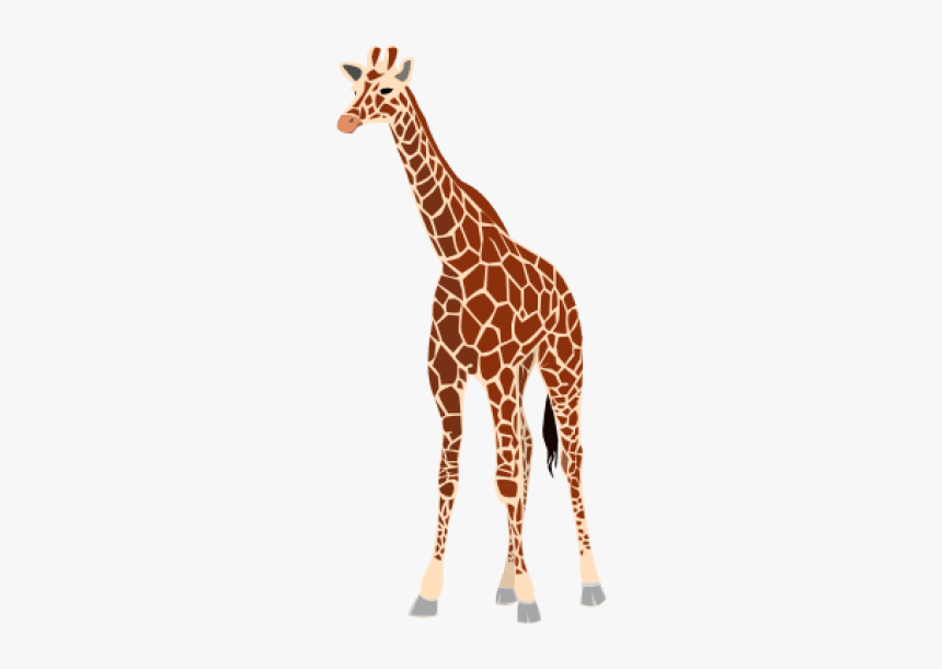 Real Giraffe Png - Giraffe Clipart, Transparent Png