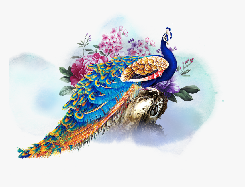 Transparent Peacock Png File - Transparent Background Peacock Png, Png Download