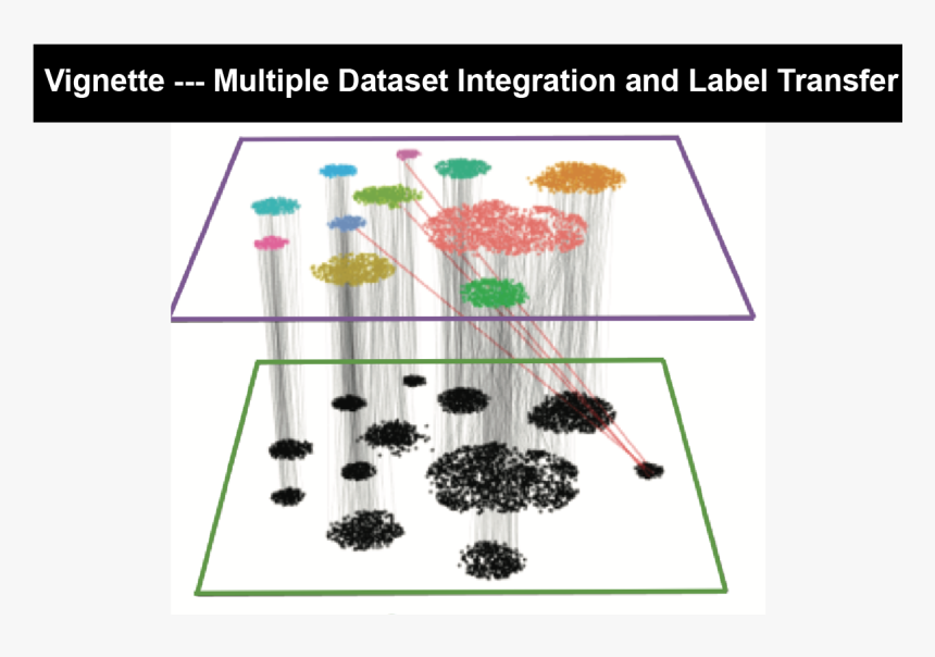 Enter Image Description Here - Floral Design, HD Png Download