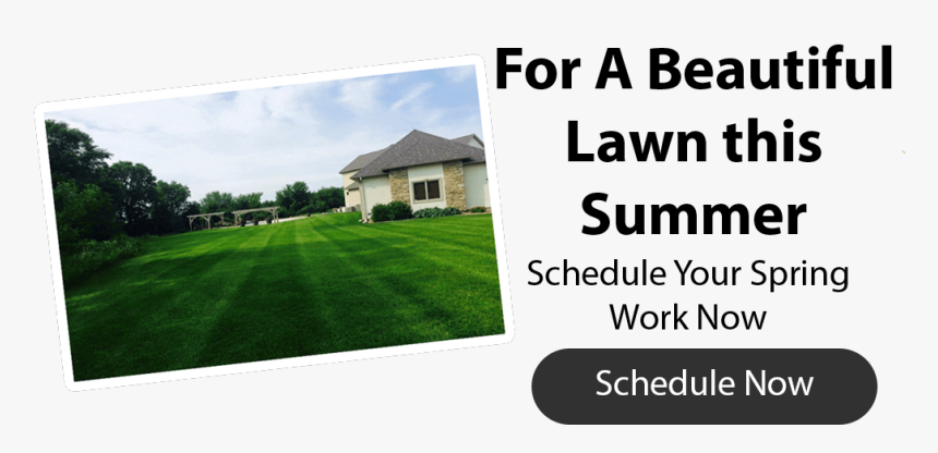 Lawn, HD Png Download