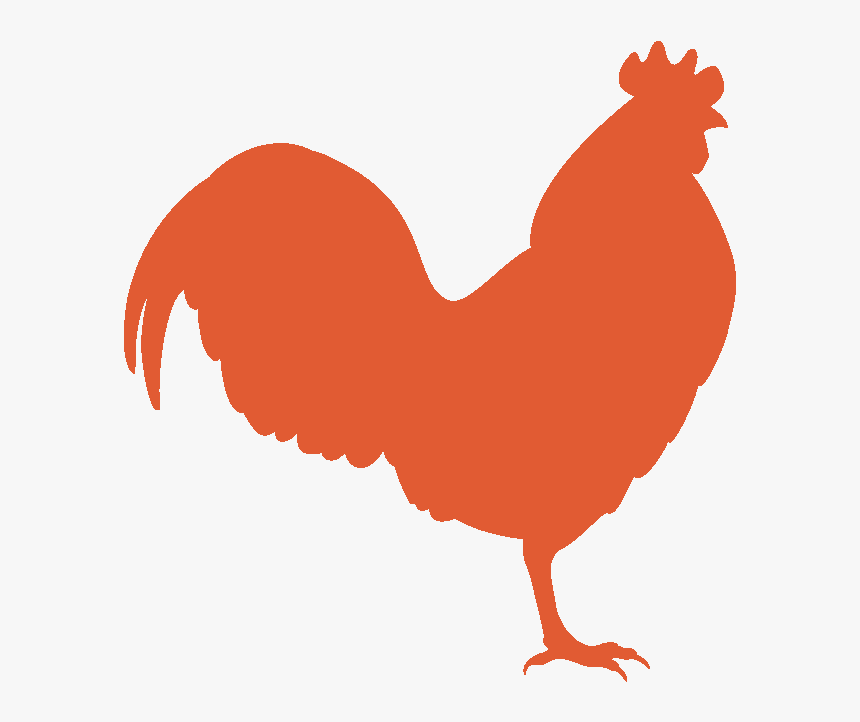 Orange Rooster - Illustration, HD Png Download