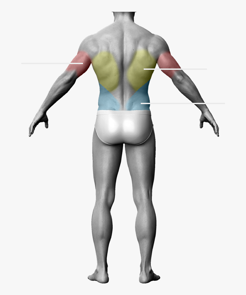 Barechested, HD Png Download