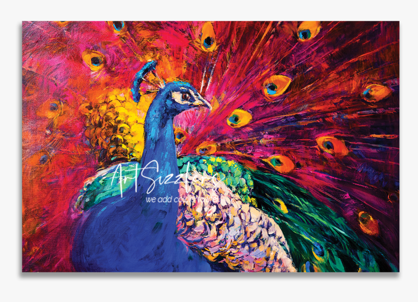 Beautiful Peacock, HD Png Download