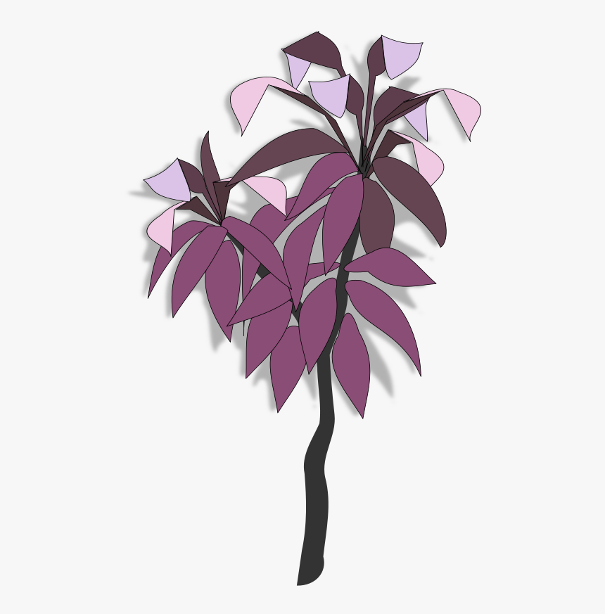 Plant,flower,leaf - Clip Art, HD Png Download
