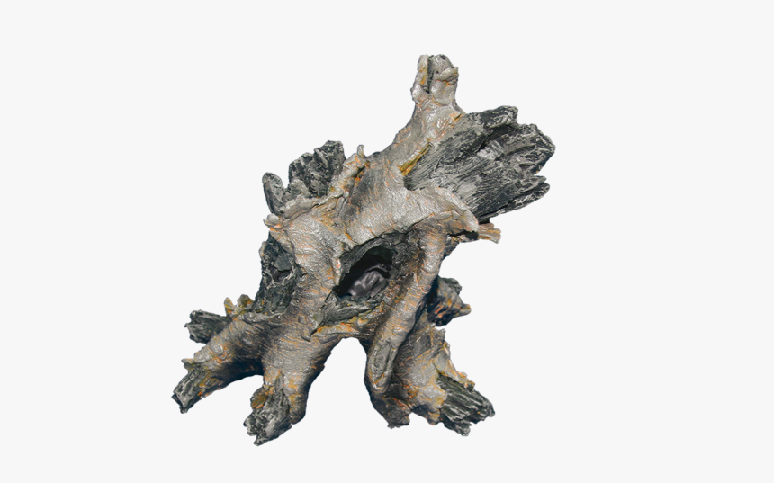 Triceratops, HD Png Download
