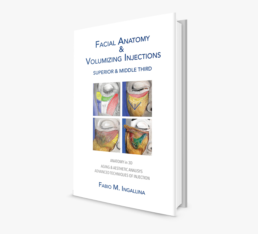 Facial Anatomy And Volumising Injections, HD Png Download