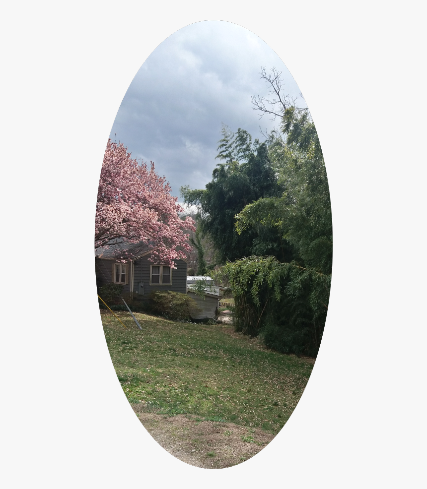 Yard, HD Png Download
