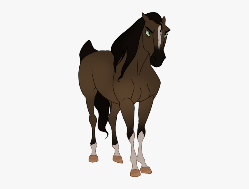 Stallion, HD Png Download